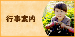 行事案内